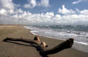 Beach Marina di Pietrasanta close BB miami beach